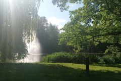 IMG-20250529-WA0015