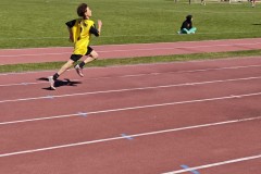 IMG-20250606-WA0008