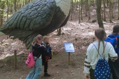 IMG-20250517-WA0028